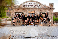 Scorpions 2019
